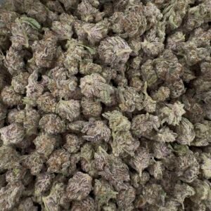 Blueberry crème OG Smalls