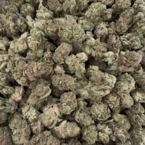 Razzberry Gelato BG